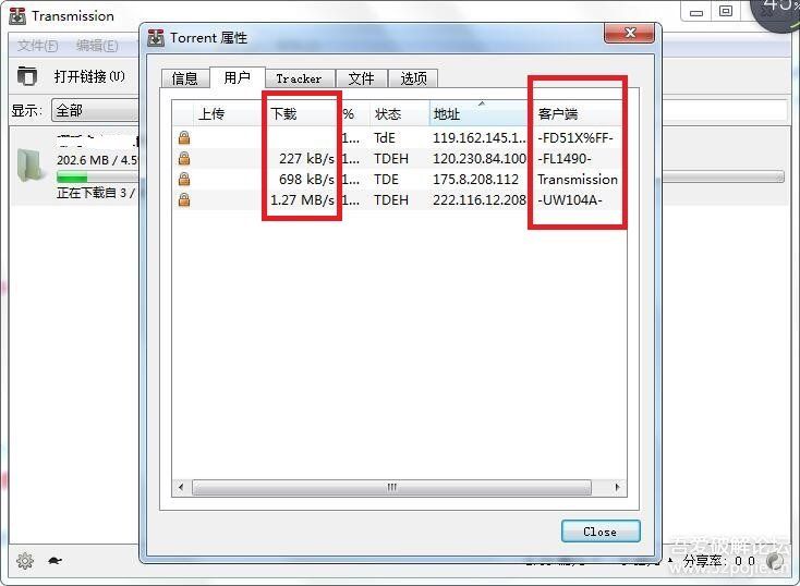 数字时代的种子下载探索，无限速度与无限可能