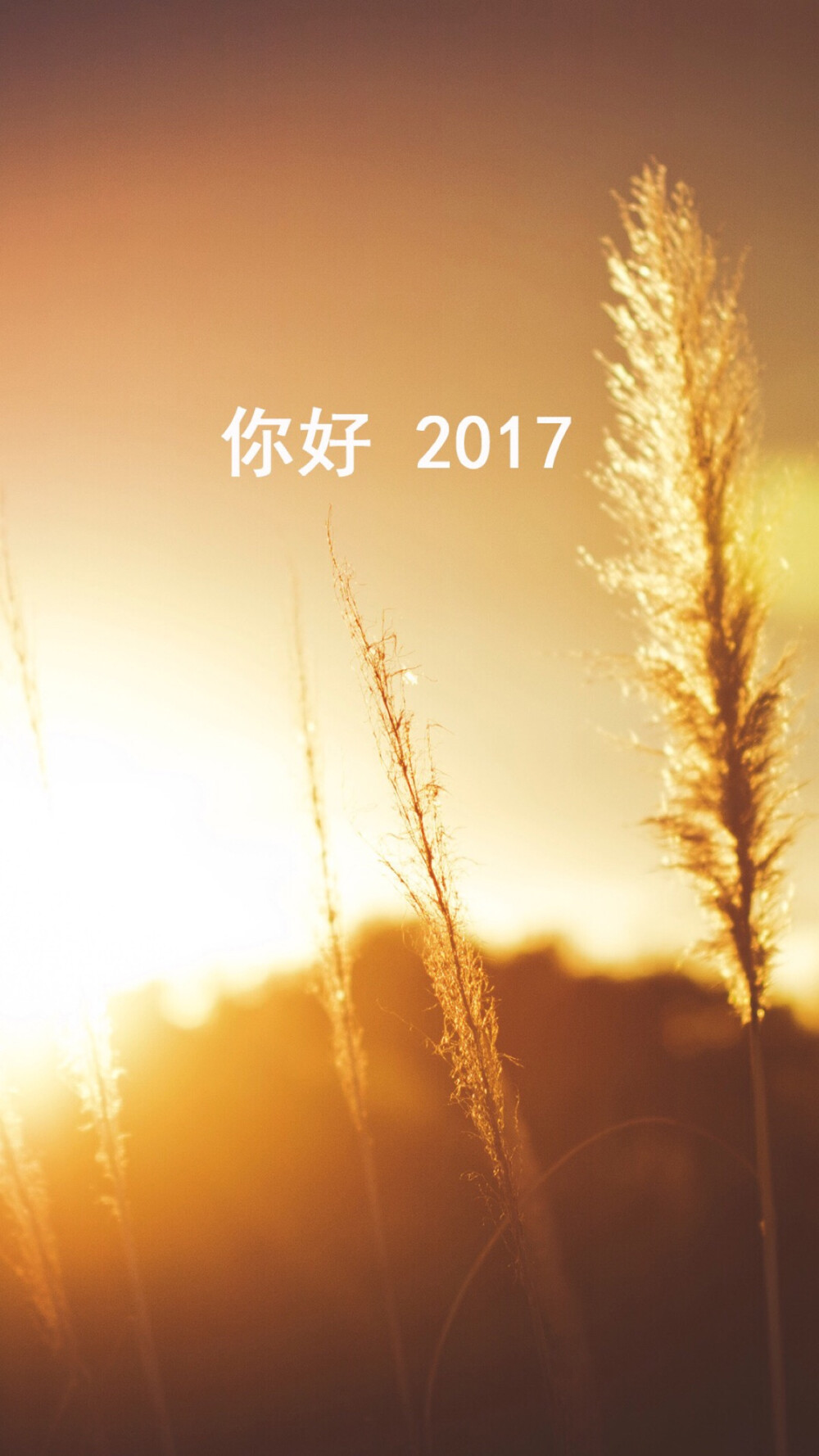 探索个性魅力，最新图片展现个性风采的2017年展望