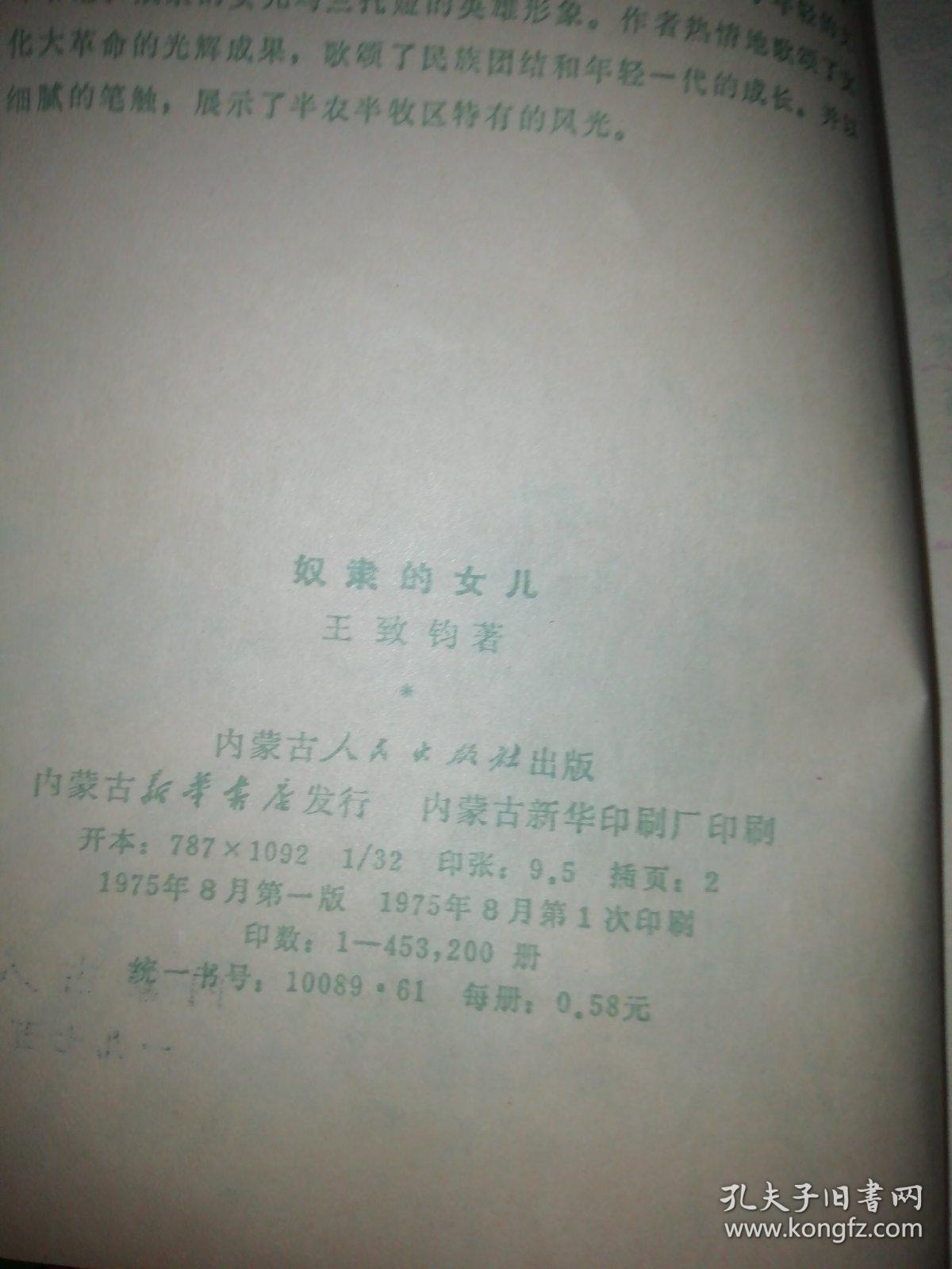 奴隶小说下载世界，历史、文学与数字阅读的交织探索