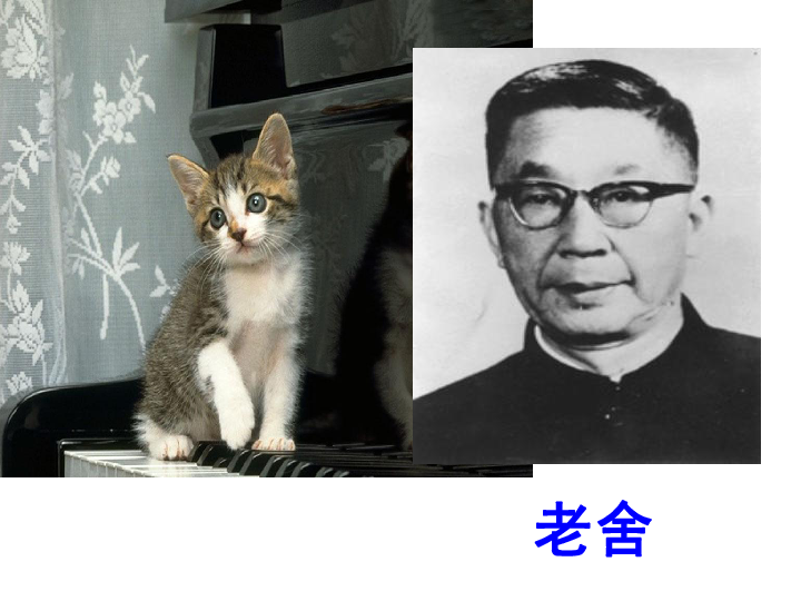 猫与钱钟书，文化与生活的下载之旅