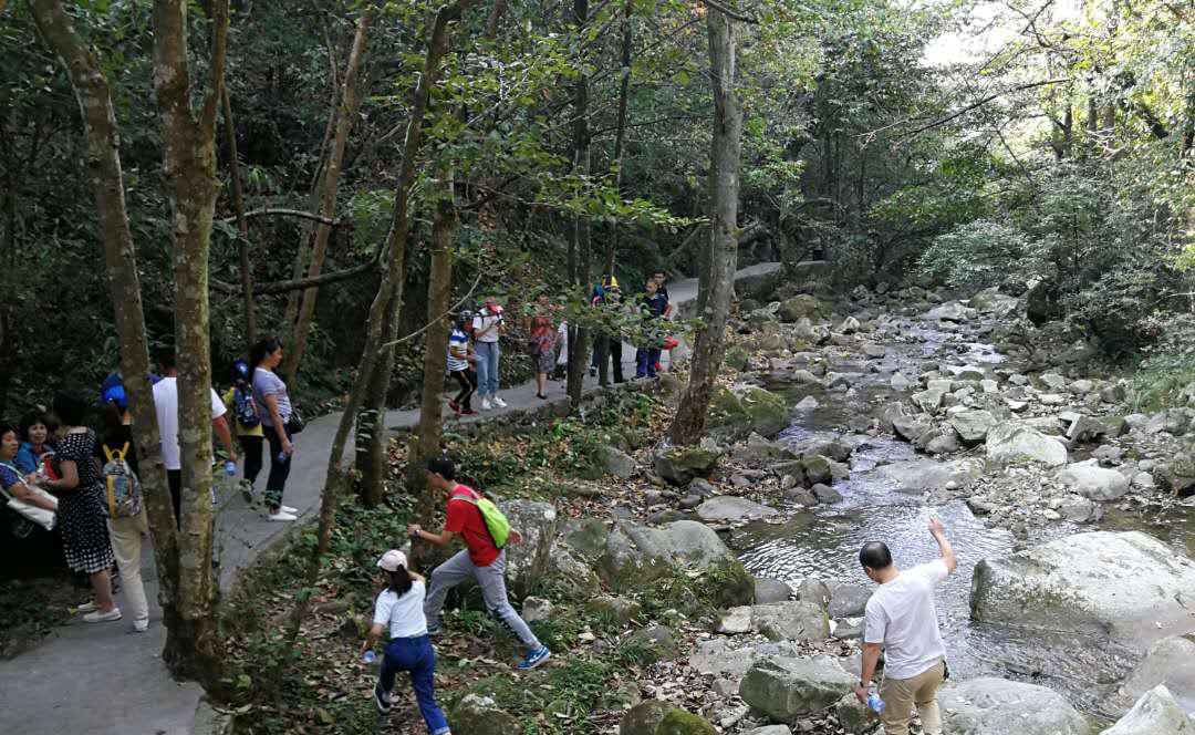 天岳幕阜山新进展揭秘，壮丽篇章揭开神秘面纱