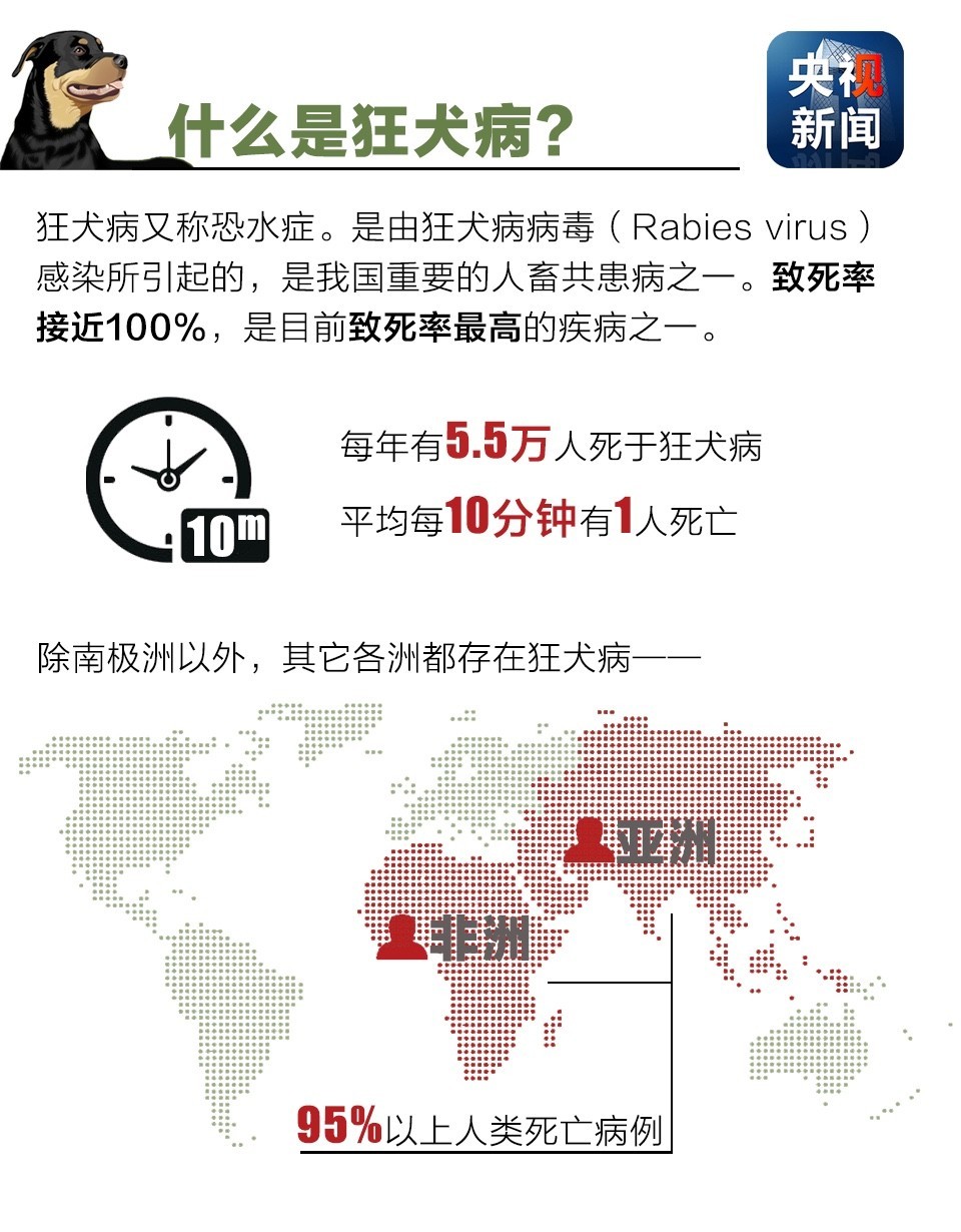 狂犬病预防与治疗的新突破，新希望照亮未来