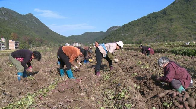 宁远最新土地出售，机遇与挑战的交汇点