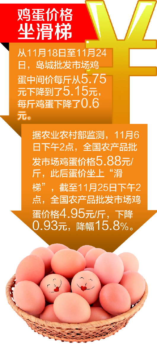 天天报价鸡蛋价格下载及市场趋势分析与数据获取策略概览