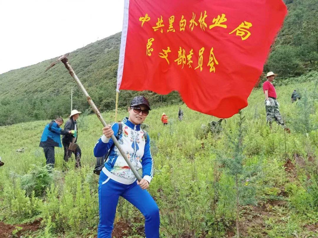 建新林场最新招聘信息概览