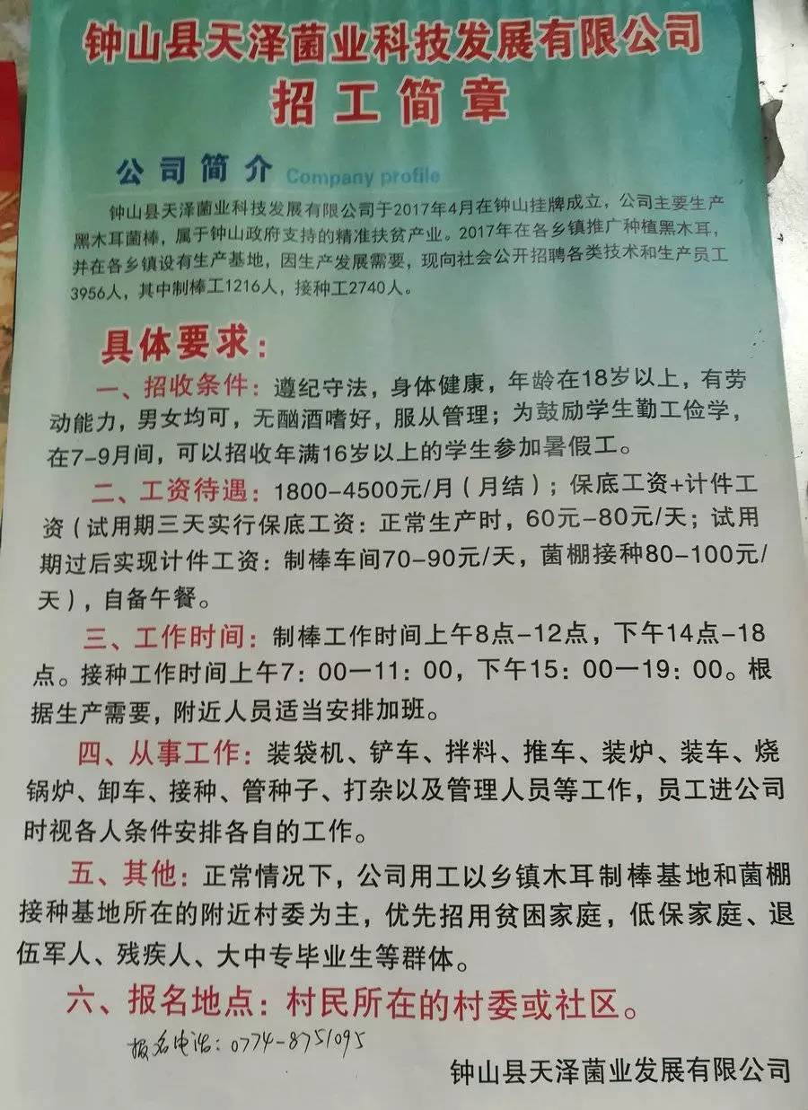 南玛村最新招聘信息全面解析