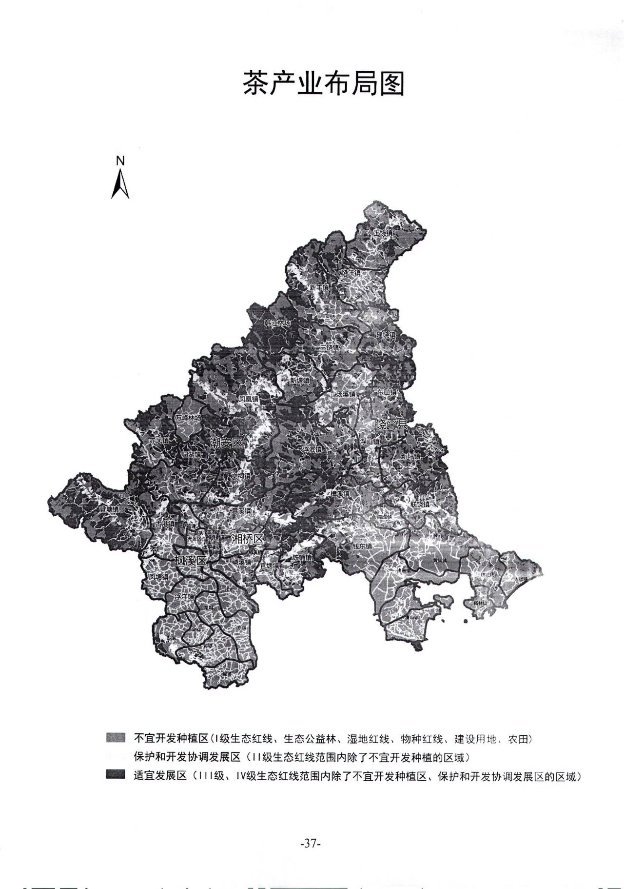 茶城乡未来繁荣蓝图，最新发展规划揭秘