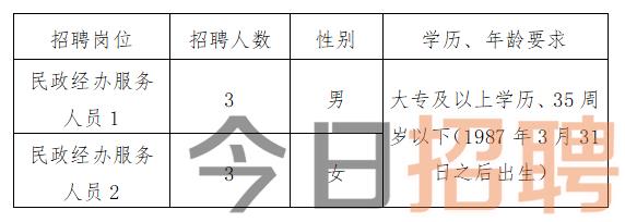 长阳土家族自治县民政局最新招聘公告解析