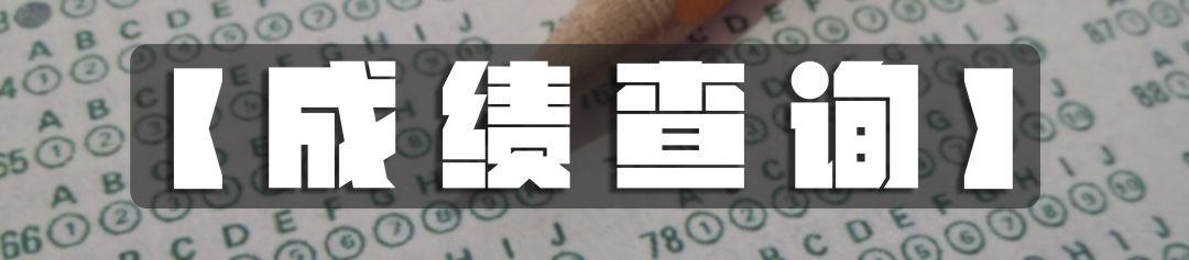 建德市文化局及相关单位最新招聘全解析