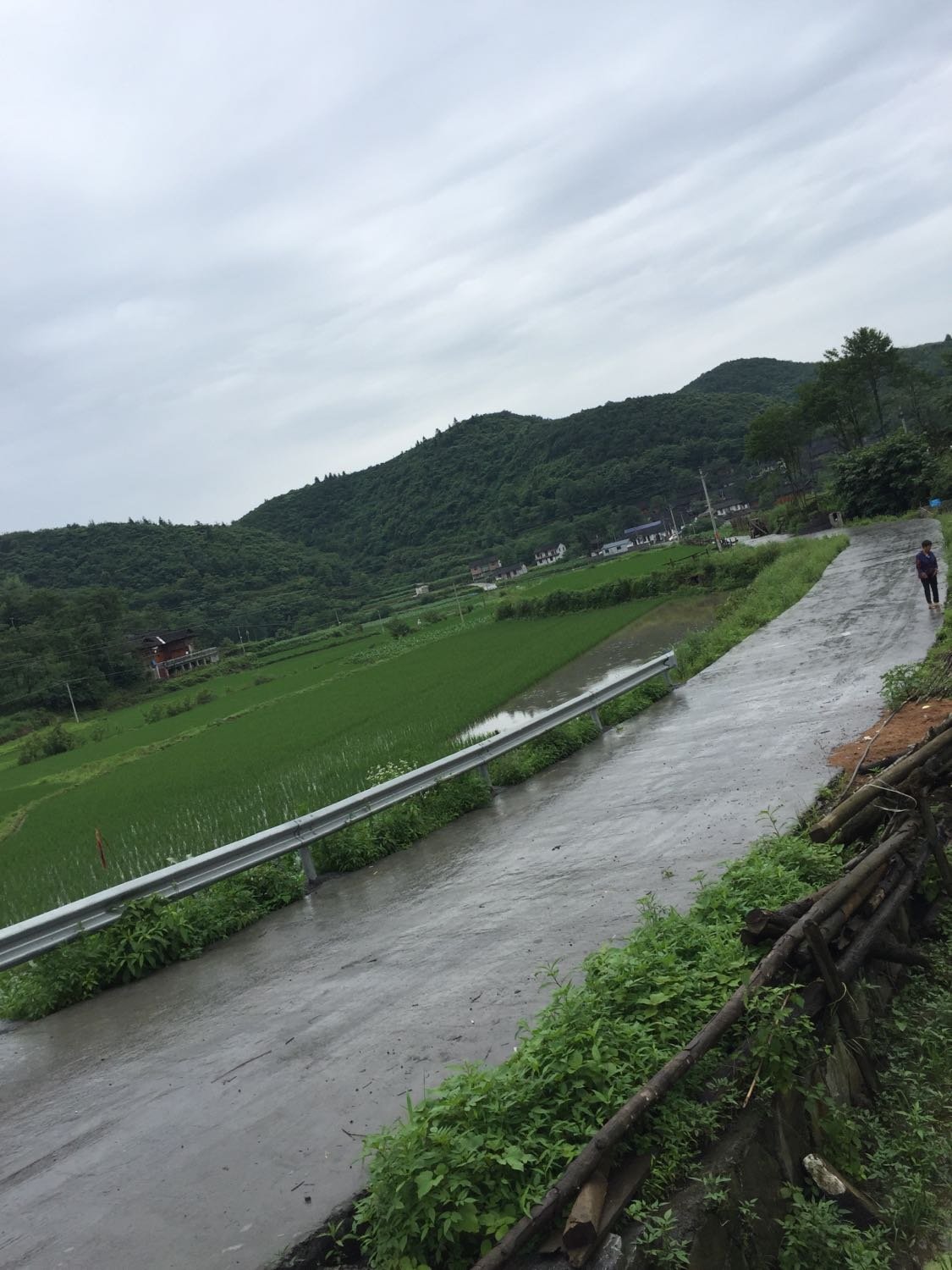 石塘村村委会天气预报更新通知