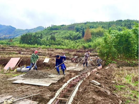 永丰县数据和政务服务局招聘公告详解