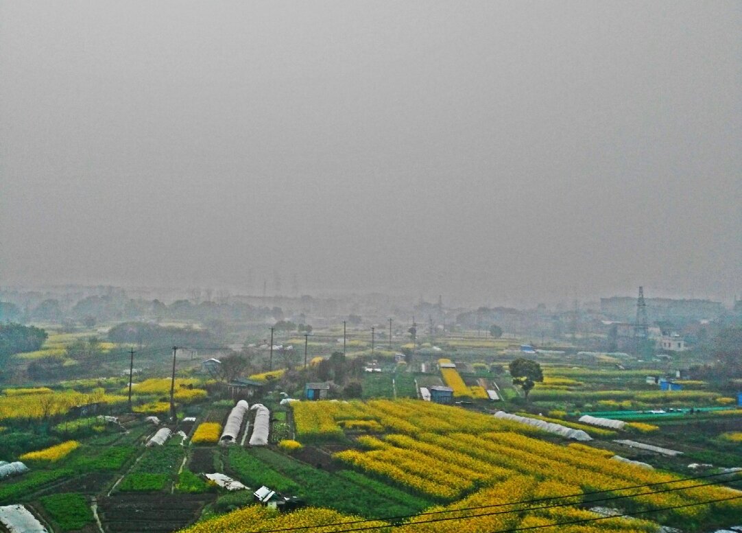 廖廓街道天气预报更新通知