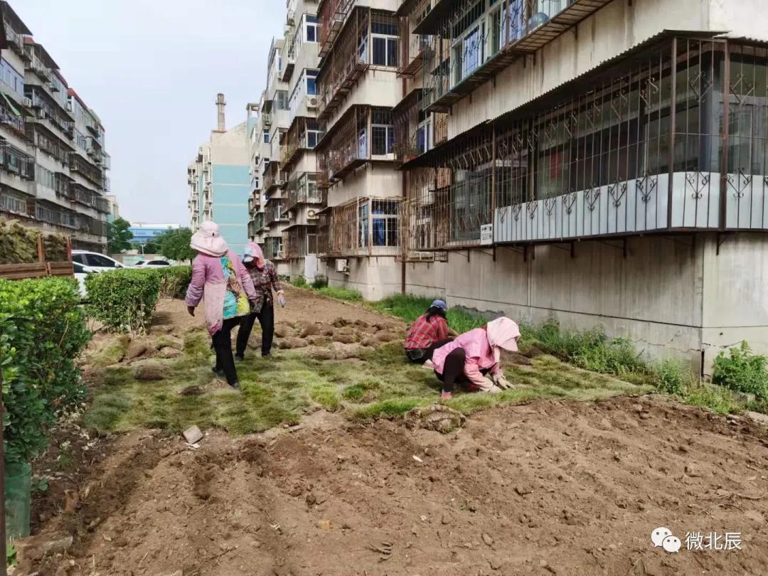 双街镇交通状况持续改善，居民出行更便捷，最新交通新闻概述