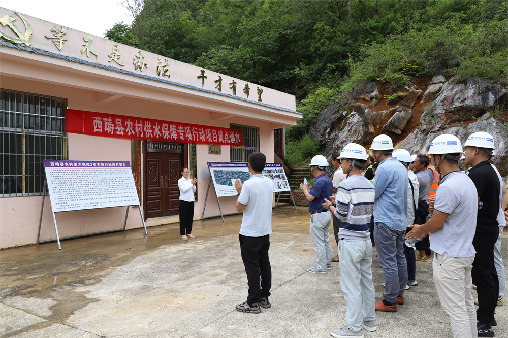 西畴县统计局新项目助力县域经济高质量发展