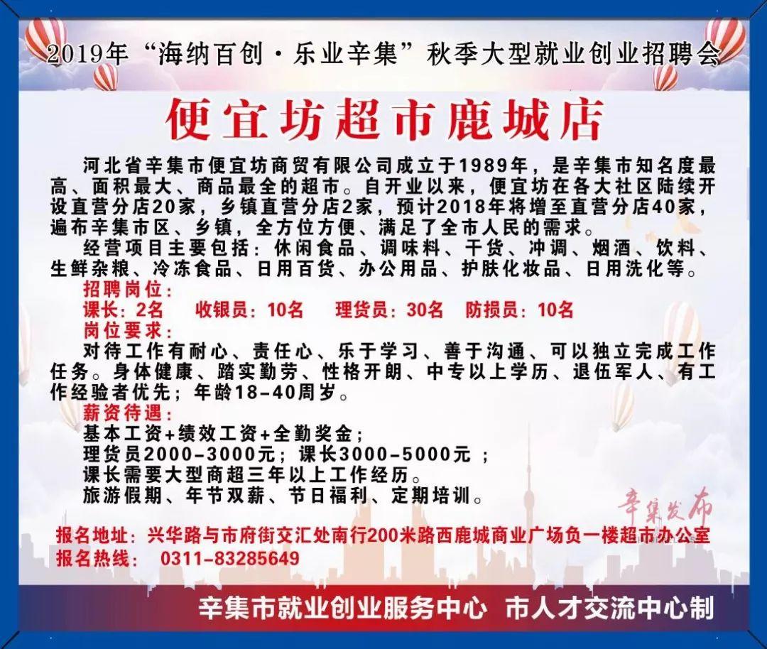 辛集市人民政府办公室最新招聘通告概览