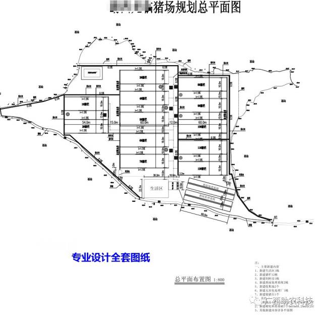 卫星种畜场全新发展规划展望