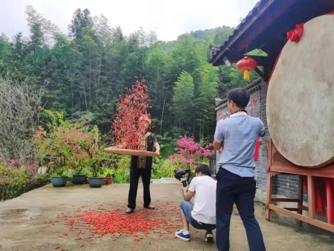 大塘瑶族乡新项目，引领地方发展的动力之源