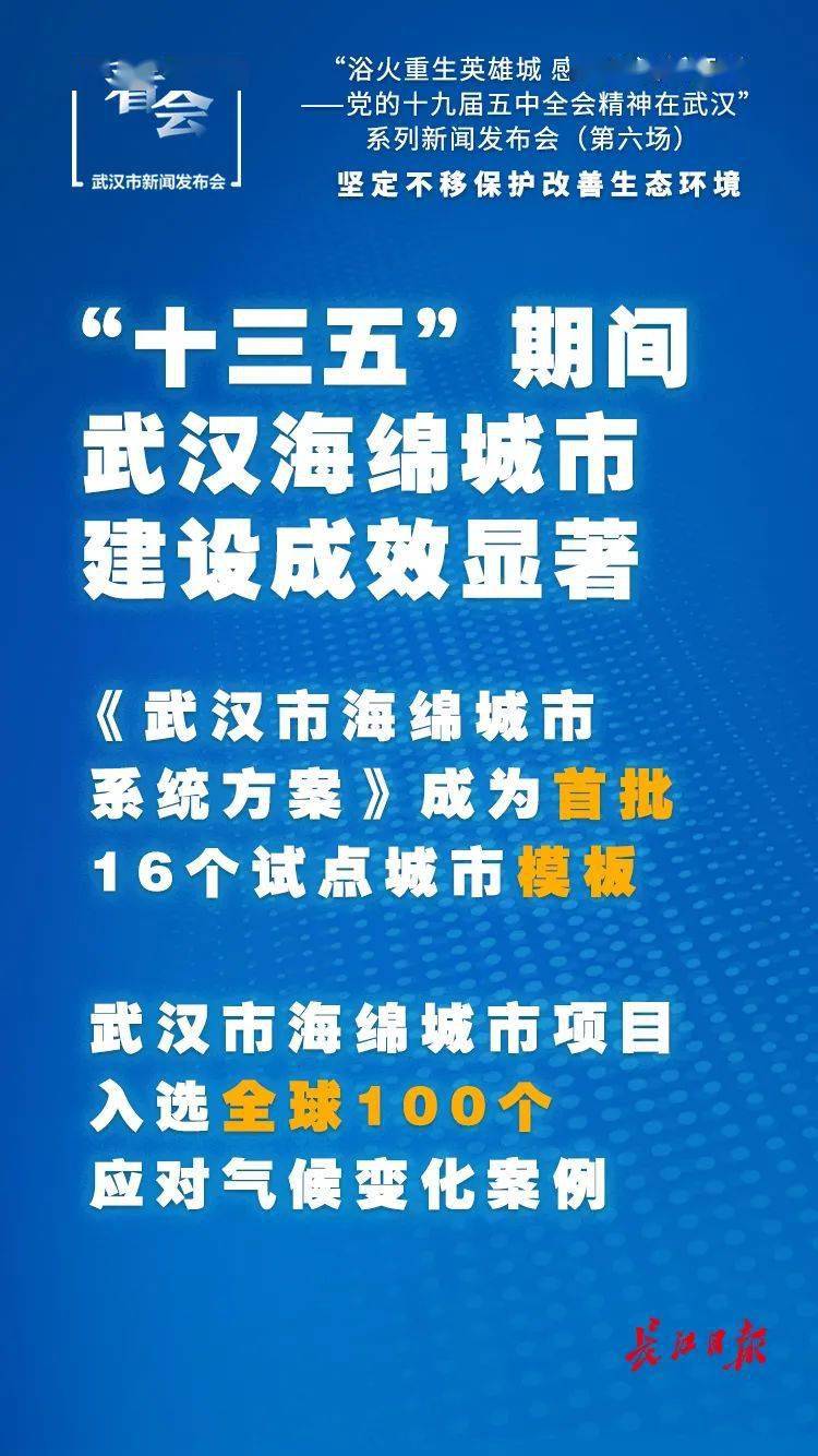 密江乡最新招聘信息全面解析